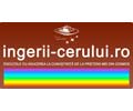 Logo of the website ingerii-cerului.ro